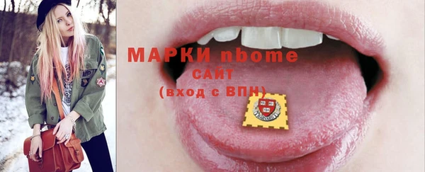 индика Бежецк