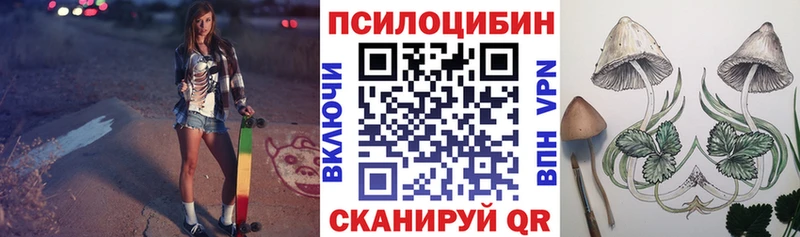Псилоцибиновые грибы MAGIC MUSHROOMS  купить  цена  мега ТОР  Йошкар-Ола 