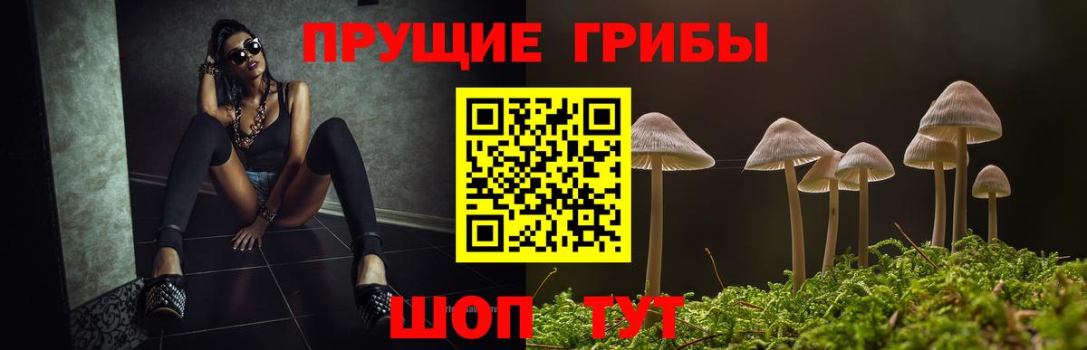 Галлюциногенные грибы Magic Shrooms Йошкар-Ола