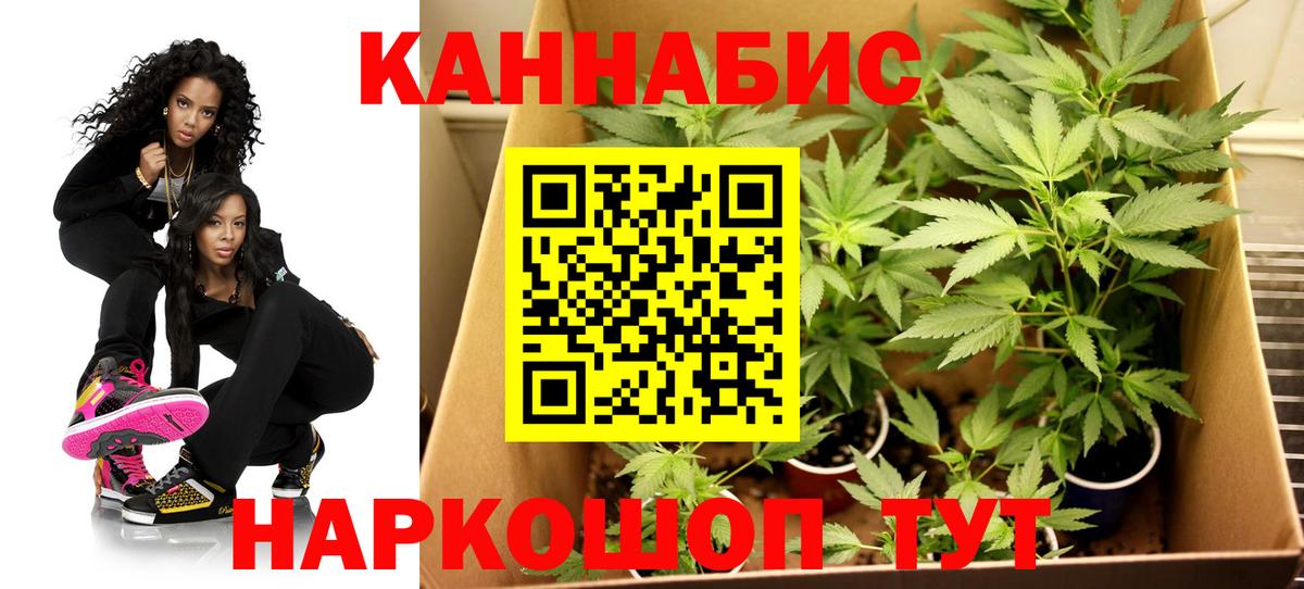 Бошки Шишки White Widow  Марихуана гибрид  Йошкар-Ола  Шишки марихуана Amnesia  Вход с VPN  Конопля планчик 